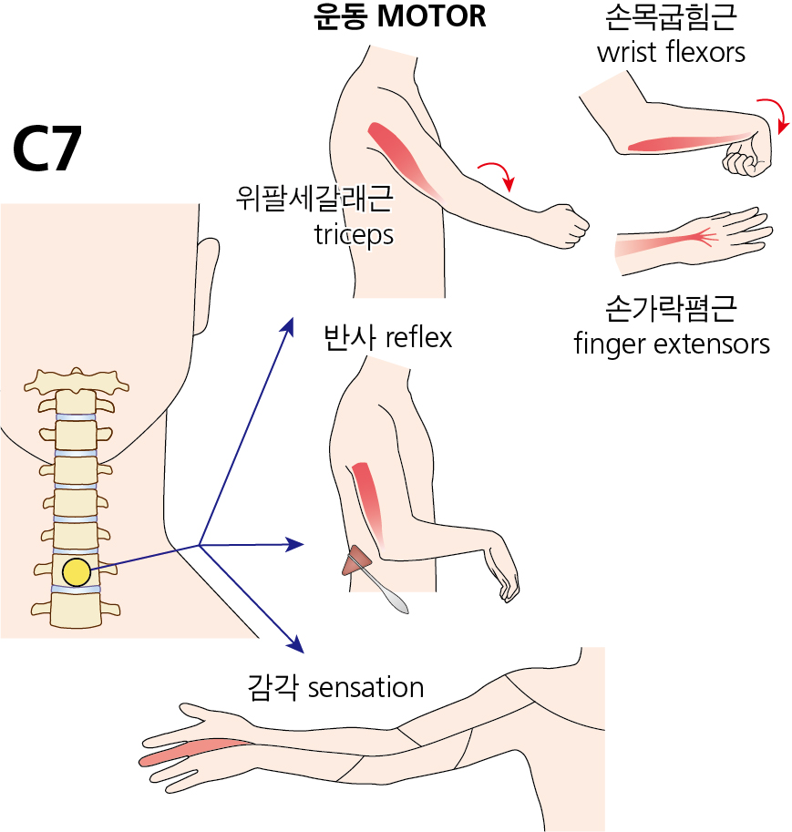 fe5e1d46377a5089d434f6fc8265cd75_1749689782_0003.jpg