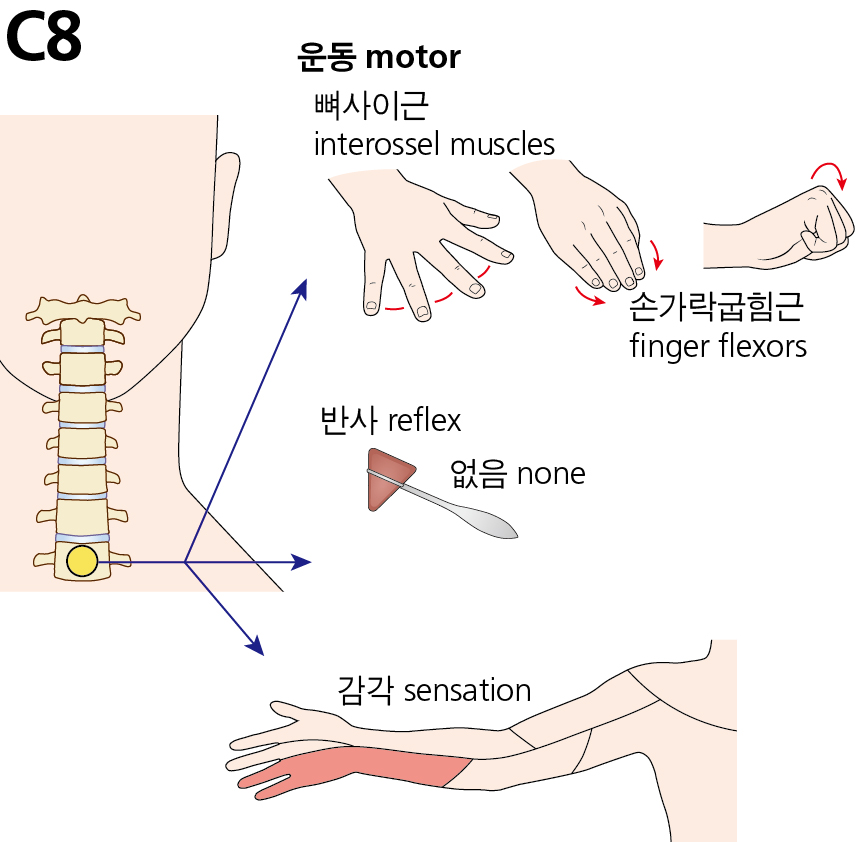 fe5e1d46377a5089d434f6fc8265cd75_1749689849_4612.jpg