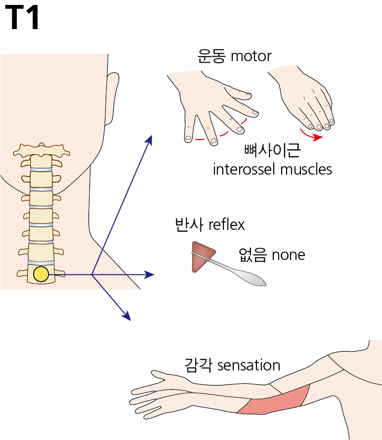 fe5e1d46377a5089d434f6fc8265cd75_1749689922_4224.jpg