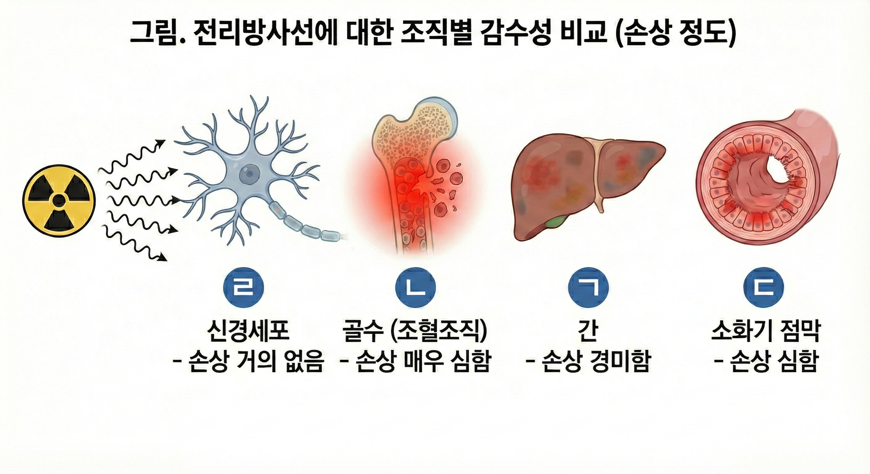 d446dd23fa84d7143f6233229f1c6126_1766114393_4557.png