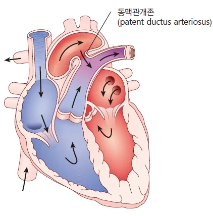 d218a3b4be77bcd26e7ad1844ee7e515_1773723374_2873.webp