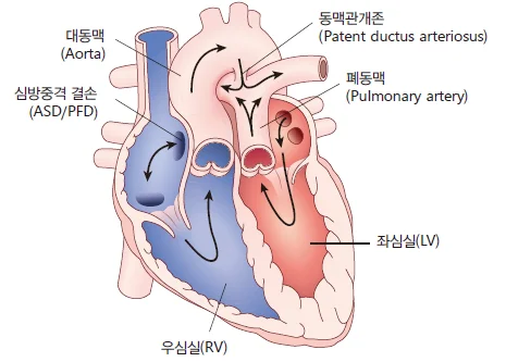 d218a3b4be77bcd26e7ad1844ee7e515_1773723640_8094.webp