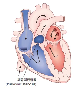 d218a3b4be77bcd26e7ad1844ee7e515_1773723677_5361.webp