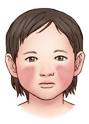 d218a3b4be77bcd26e7ad1844ee7e515_1773732364_6811.webp