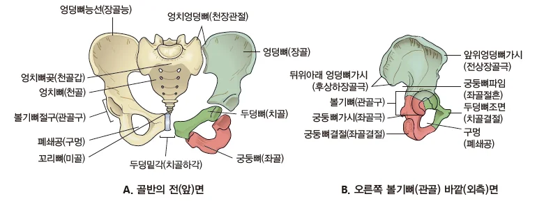 d218a3b4be77bcd26e7ad1844ee7e515_1773793342_9004.webp