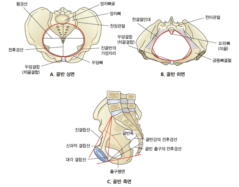 d218a3b4be77bcd26e7ad1844ee7e515_1773793415_5543.webp