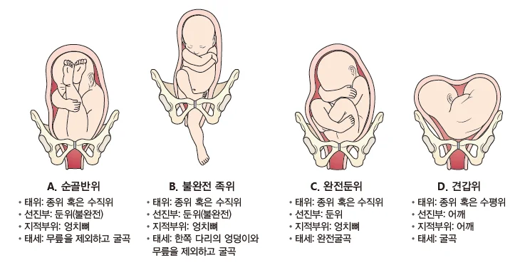 d218a3b4be77bcd26e7ad1844ee7e515_1773794162_2978.webp d218a3b4be77bcd26e7ad1844ee7e515_1773794162_2978.webp