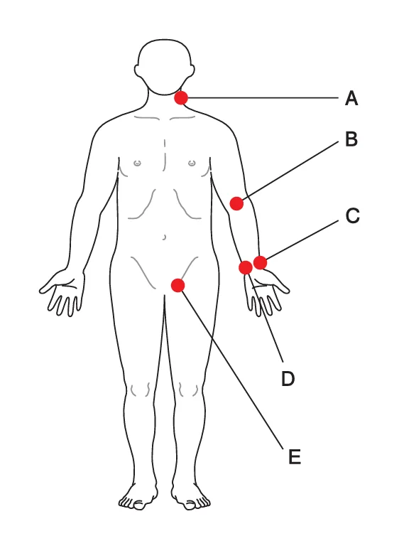 9aa54e322639dd1d83eb3416b1f42992_1777440767_5696.webp