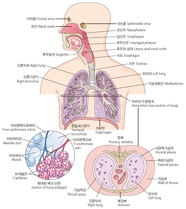 d218a3b4be77bcd26e7ad1844ee7e515_1777250340_2335.webp