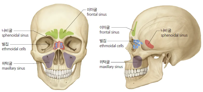 d218a3b4be77bcd26e7ad1844ee7e515_1777250521_5045.webp