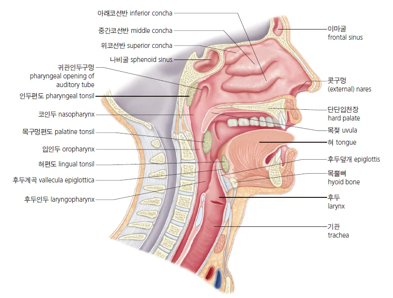 d218a3b4be77bcd26e7ad1844ee7e515_1777250531_7902.webp