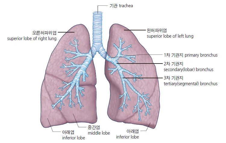 d218a3b4be77bcd26e7ad1844ee7e515_1777250745_3422.webp