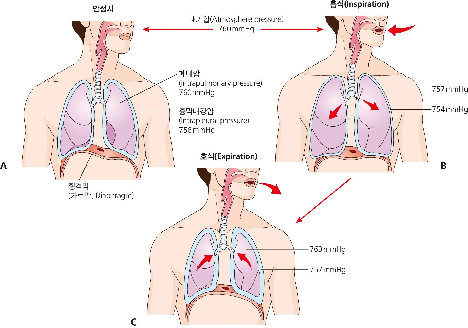 d218a3b4be77bcd26e7ad1844ee7e515_1777252385_8257.webp