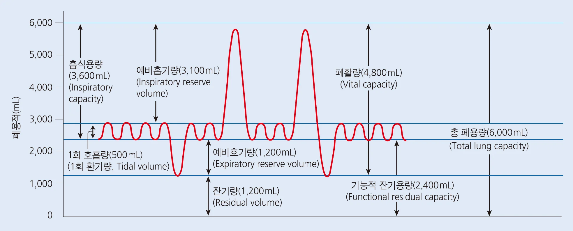 d218a3b4be77bcd26e7ad1844ee7e515_1777252677_9925.webp