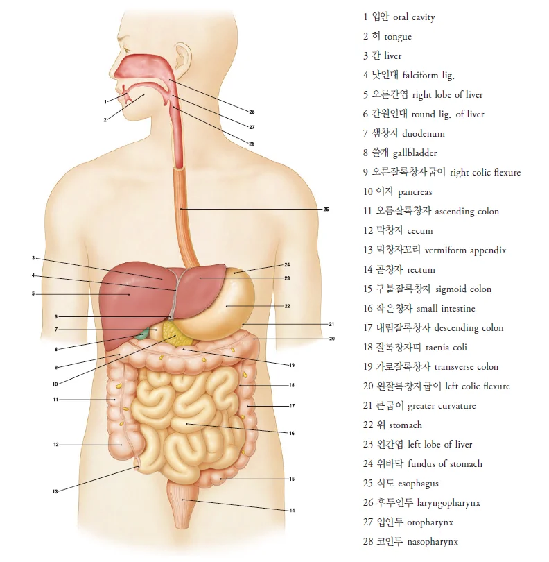 d218a3b4be77bcd26e7ad1844ee7e515_1777253846_3837.webp