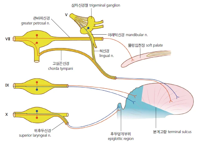 d218a3b4be77bcd26e7ad1844ee7e515_1777254061_9062.webp