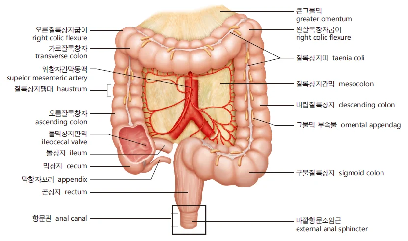 d218a3b4be77bcd26e7ad1844ee7e515_1777256211_2606.webp