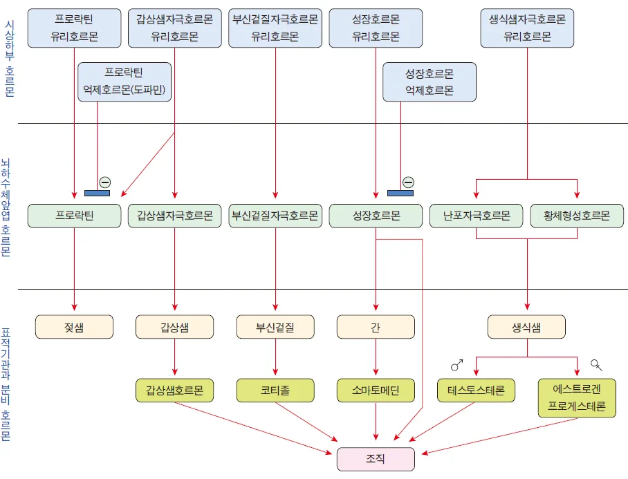 d218a3b4be77bcd26e7ad1844ee7e515_1777263382_3937.webp
