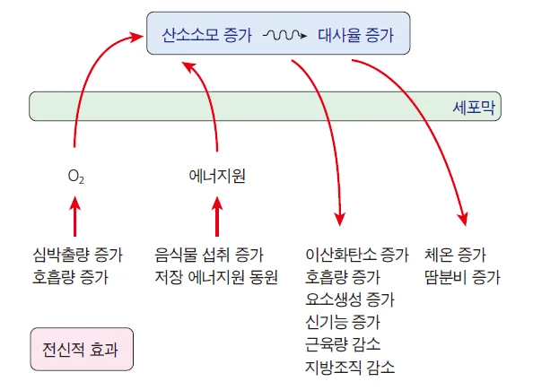 d218a3b4be77bcd26e7ad1844ee7e515_1777263453_7782.webp