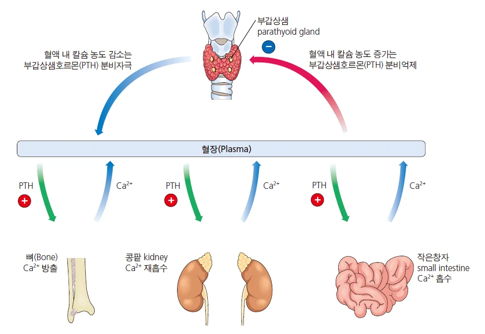 d218a3b4be77bcd26e7ad1844ee7e515_1777263498_0523.webp