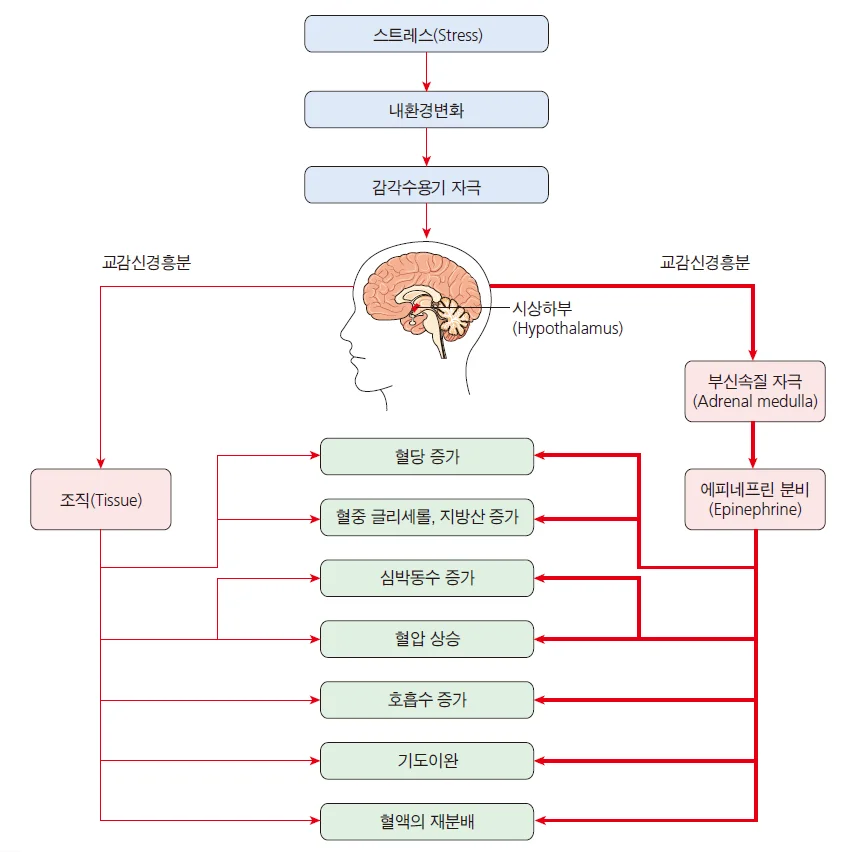 d218a3b4be77bcd26e7ad1844ee7e515_1777263678_3179.webp