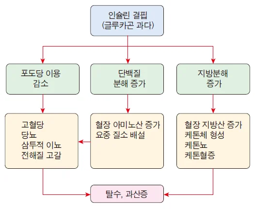 d218a3b4be77bcd26e7ad1844ee7e515_1777263790_0794.webp