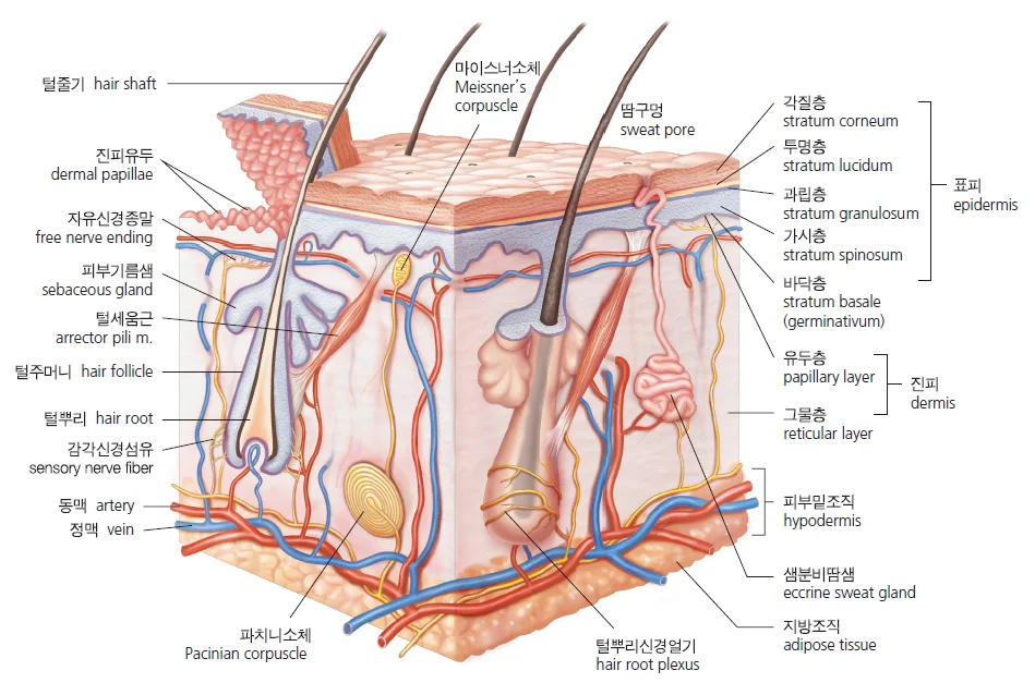d218a3b4be77bcd26e7ad1844ee7e515_1777264496_043.webp