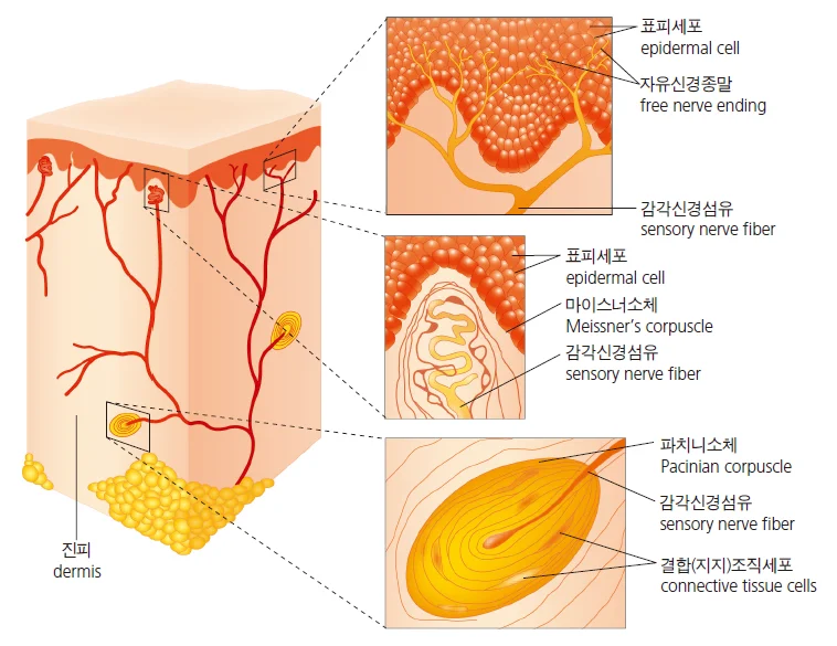 d218a3b4be77bcd26e7ad1844ee7e515_1777264533_6289.webp