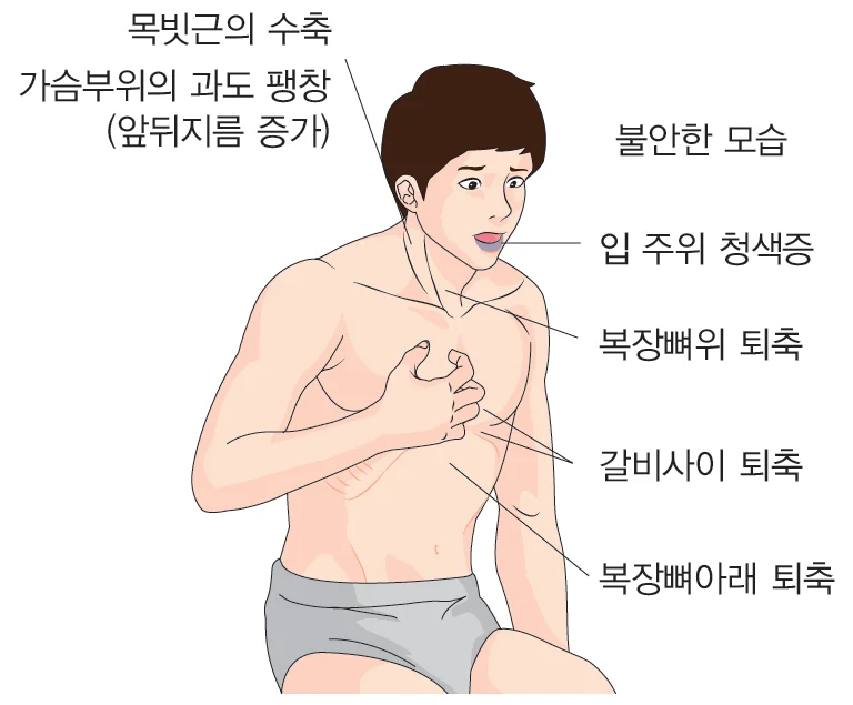 d218a3b4be77bcd26e7ad1844ee7e515_1778547074_0497.webp