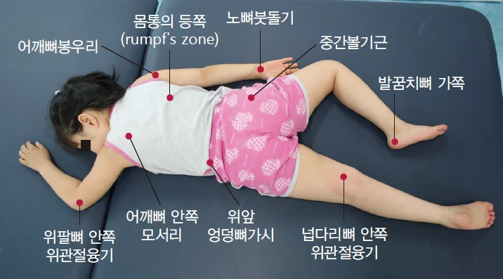 d218a3b4be77bcd26e7ad1844ee7e515_1778635803_2457.webp