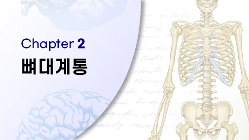 CHAPTER 2 뼈대계통