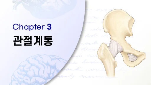 CHAPTER 3 관절계통