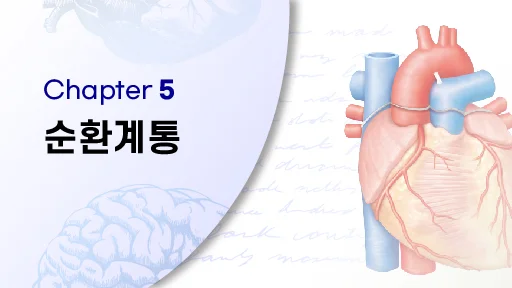 CHAPTER 5 순환계통