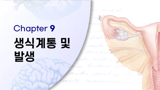 CHAPTER 9 생식계통 및 발생