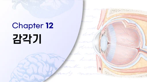 CHAPTER 12 감각기