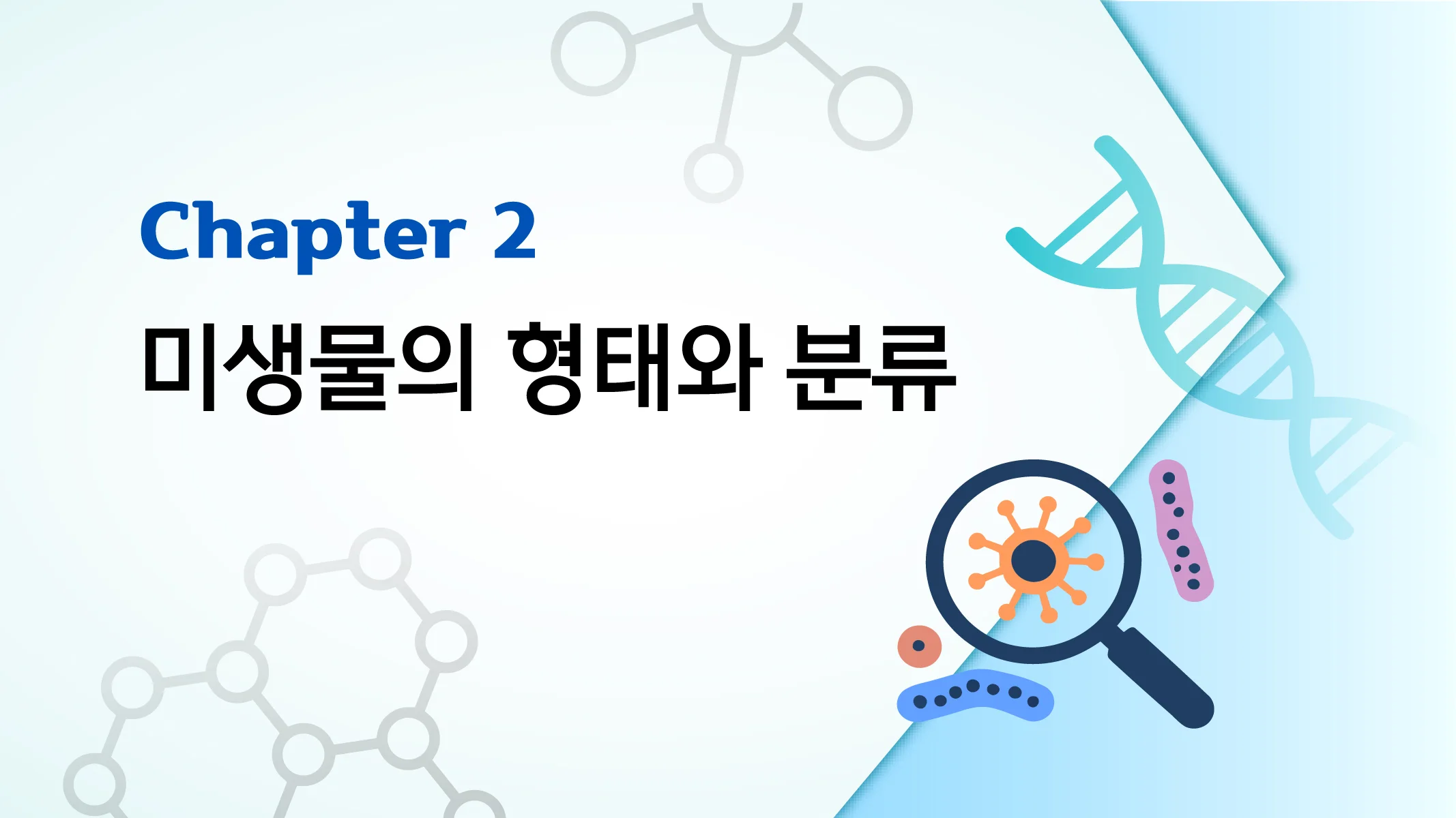 CHAPTER 2 미생물의 형태와 분류