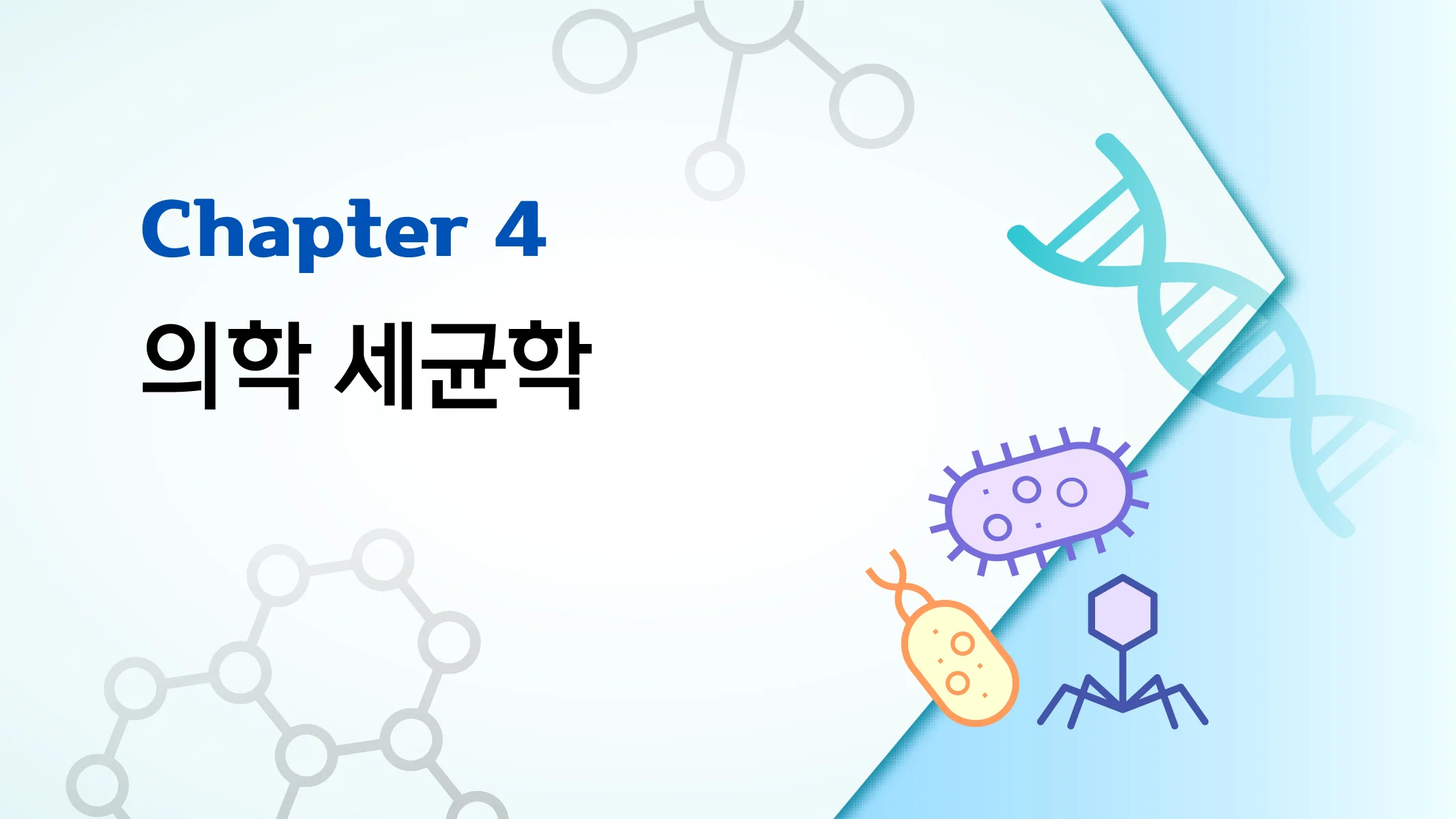 CHAPTER 4 의학 세균학