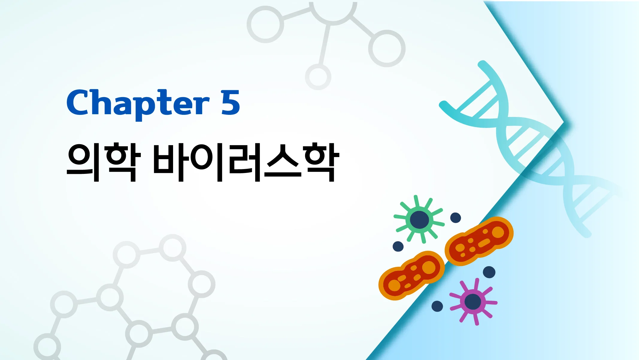 CHAPTER 5 의학 바이러스학