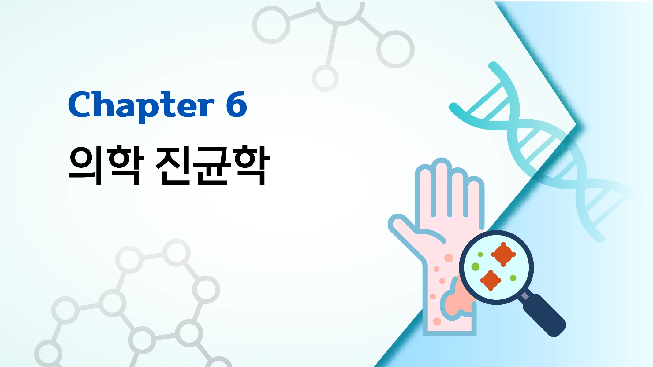 CHAPTER 6 의학 진균학