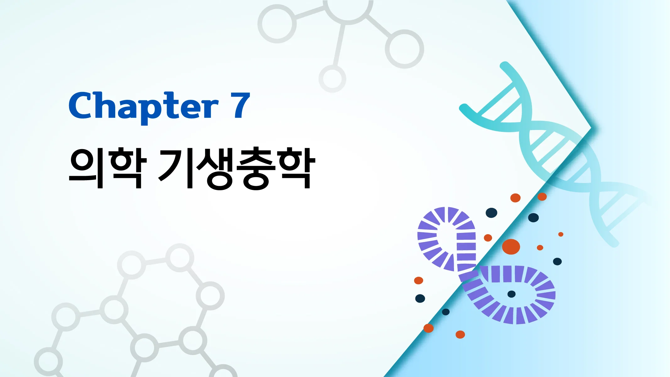 CHAPTER 7 의학 기생충학