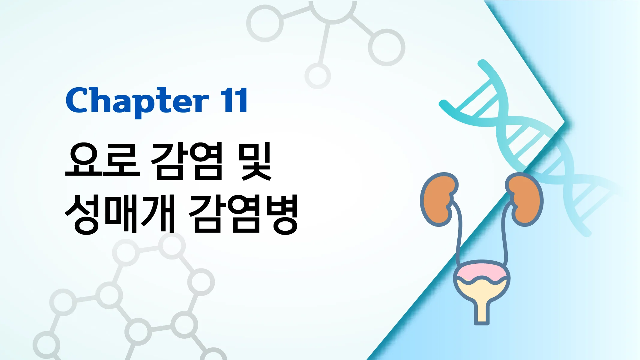 CHAPTER 11 요로 감염 및 성매개 감염병