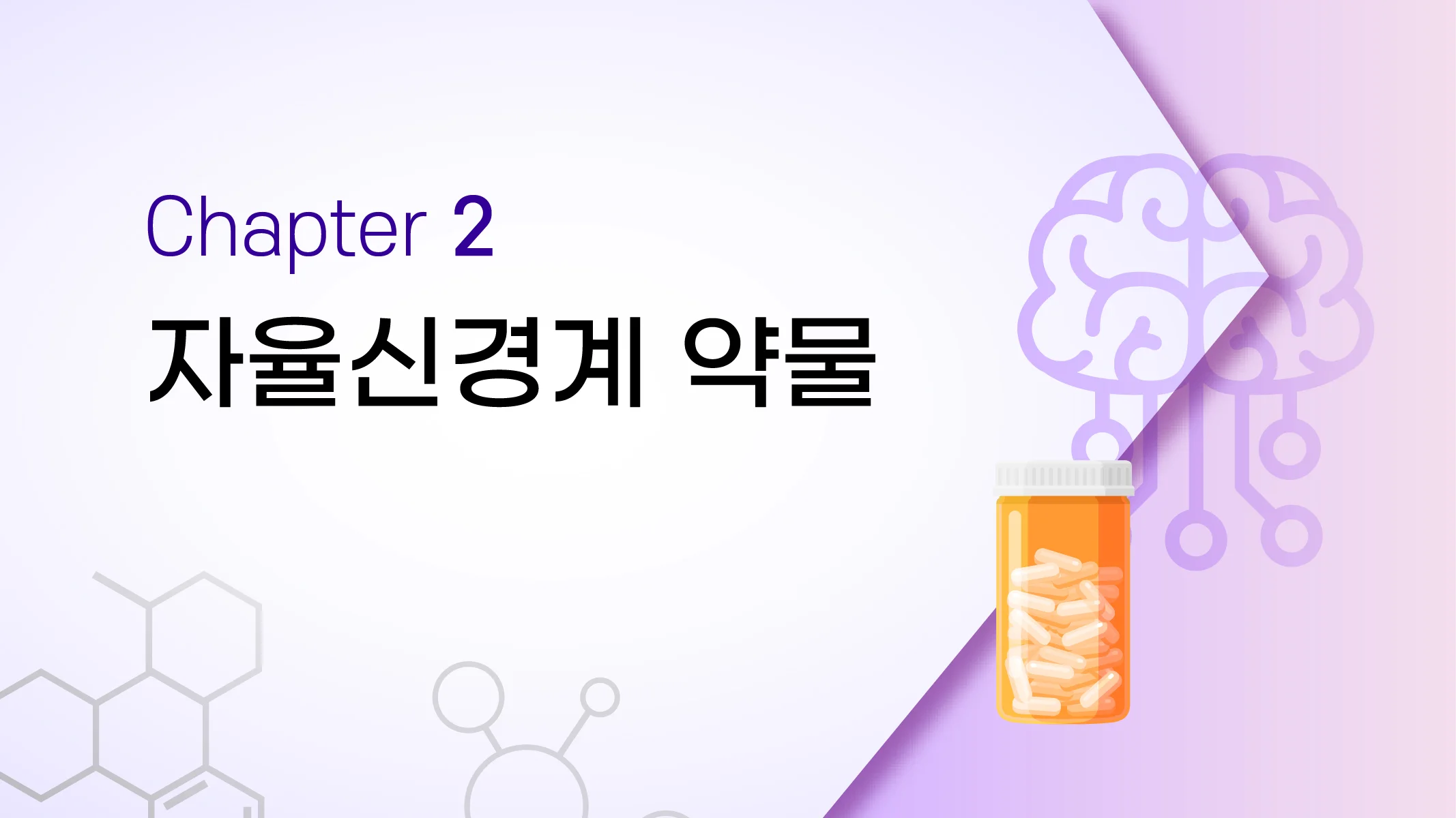 CHAPTER 2 자율신경계 약물