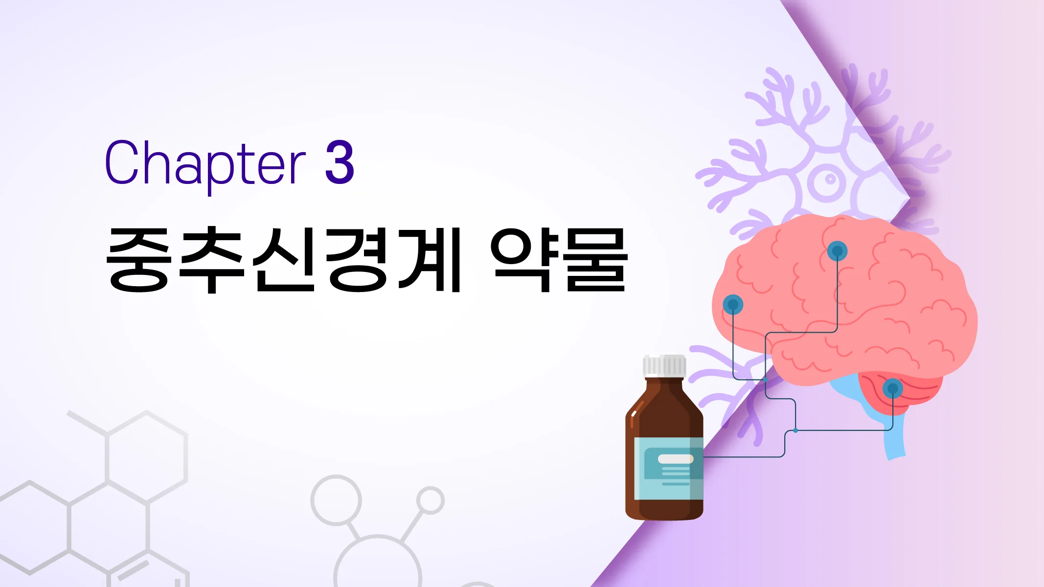 CHAPTER 3 중추신경계 약물