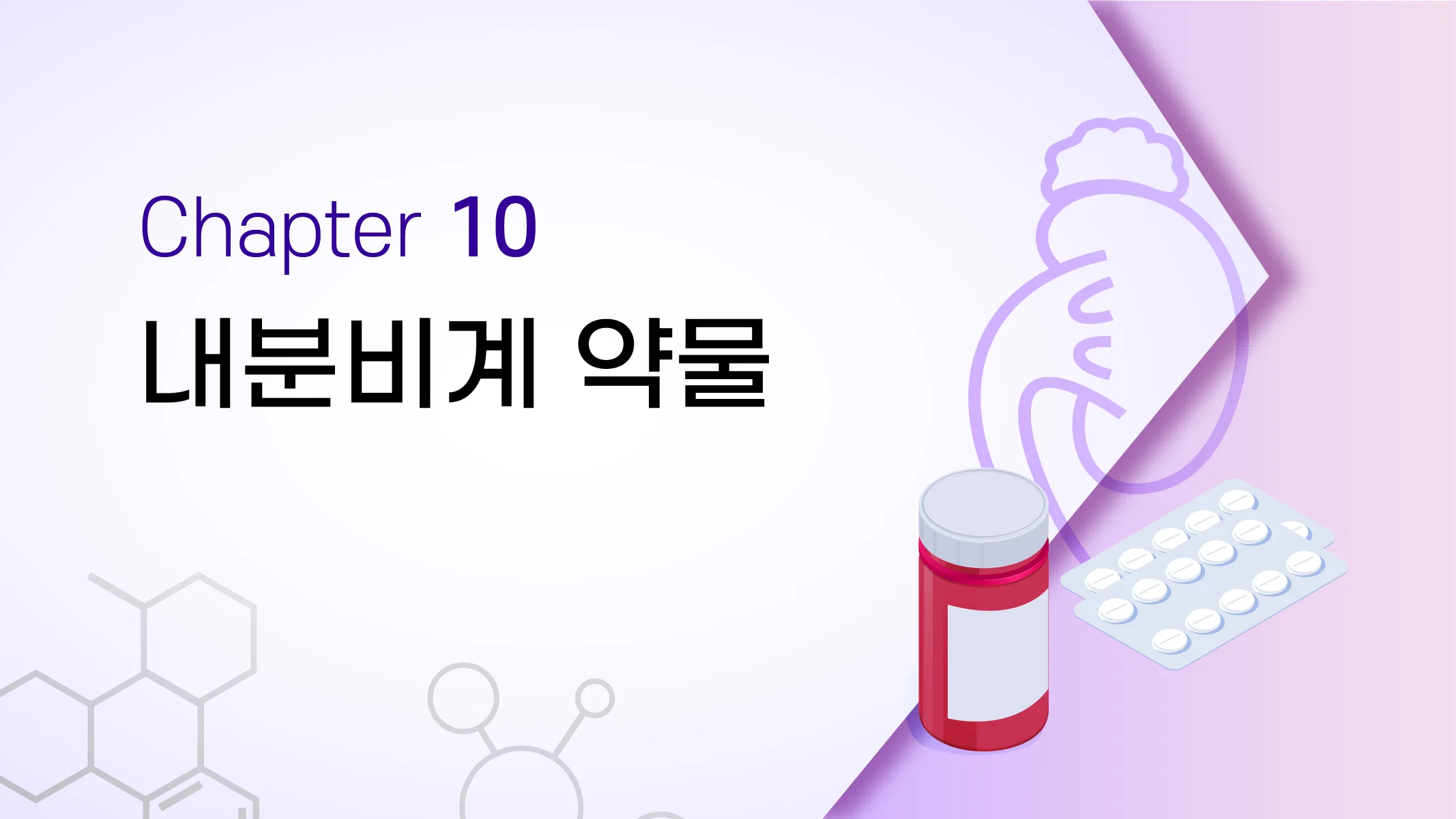CHAPTER 10 내분비계 약물