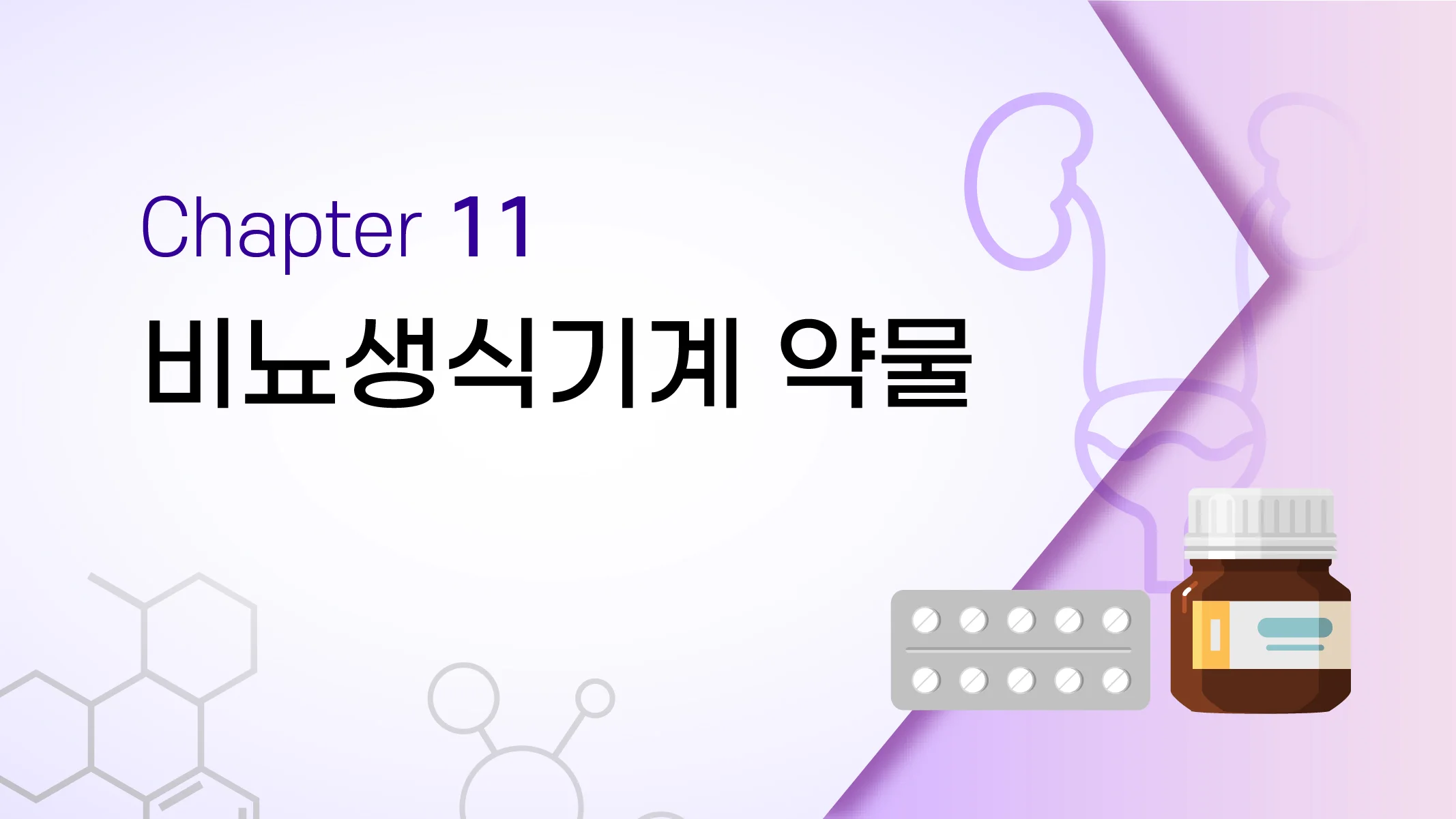 CHAPTER 11 비뇨생식기계 약물