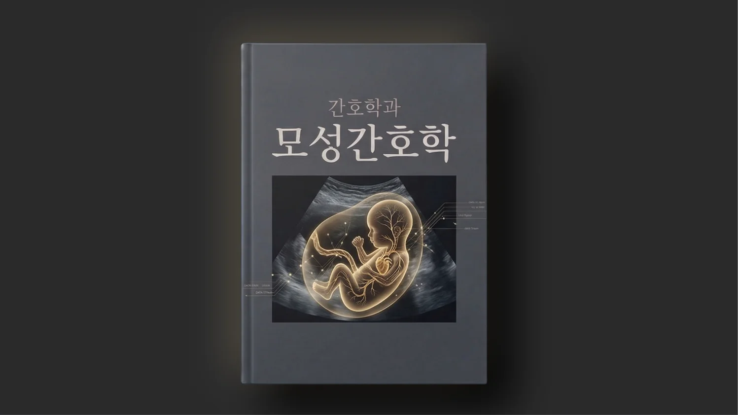 마이메르시 모성간호학