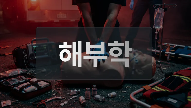 해부학