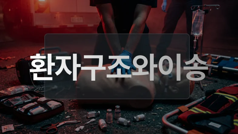 환자구조와이송