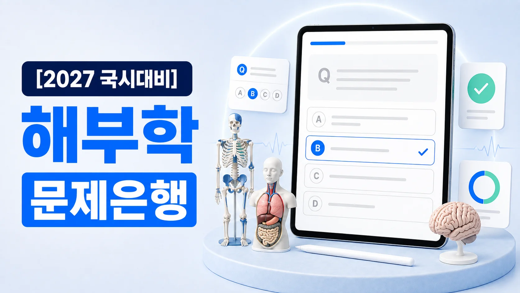해부학