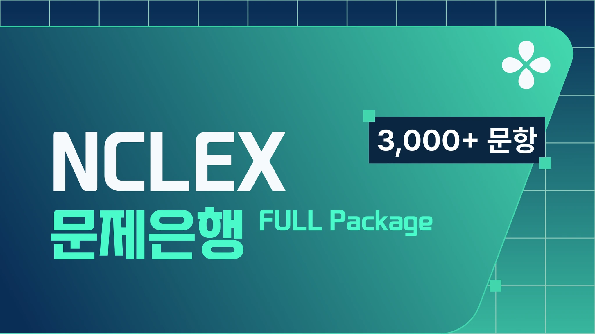 엔클렉스 문제은행